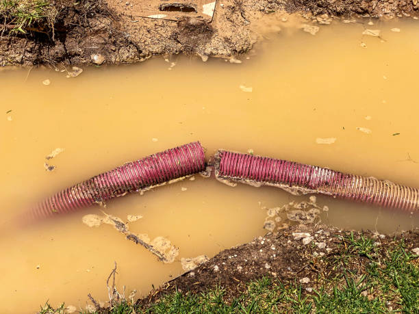 Best Local water damage restoration  in Auburn, AL